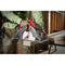 Milwaukee Tool Milwaukee 7-1/4" 24T Framing Circular Saw Blade 2PK