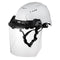 Milwaukee Tool Milwaukee Clear Uncoated Full Face Shield Replacement Lens (Task Full Face Shield Frame)