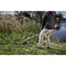 Milwaukee Tool Milwaukee M18 FUEL™ QUIK-LOK™ Brush Cutter Attachment