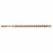Milwaukee Tool Milwaukee SDS-Max 4CT 3/4 in. x 12 x 17 in.