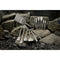 Milwaukee Tool Milwaukee SS SDS-Max 16 in. Bull Point